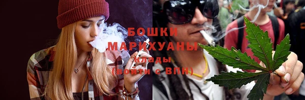 крисы Елабуга