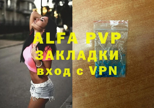 амф Ельня