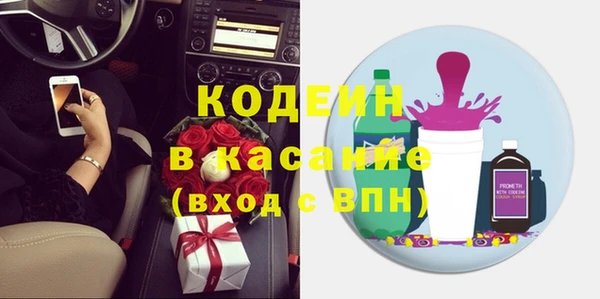 крисы Елабуга