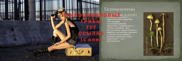 мескалин Елизово