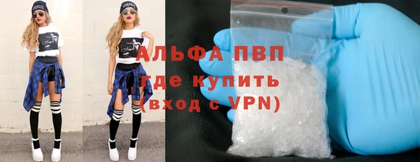 амф Ельня