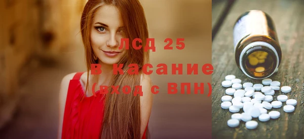 амф Ельня