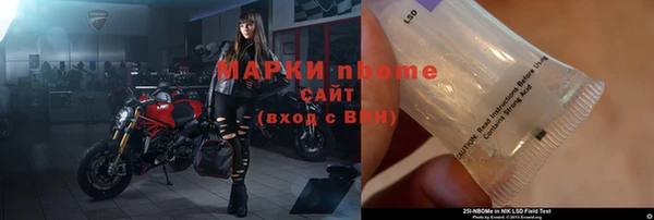 индика Новодвинск