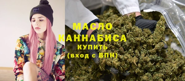 амф Ельня