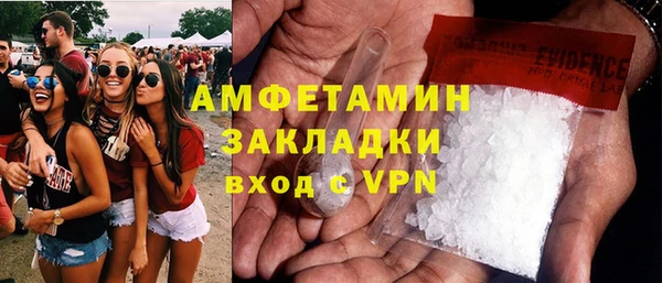 амф Ельня