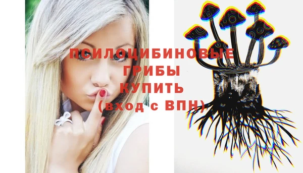 крисы Елабуга