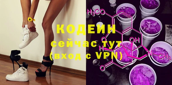 крисы Елабуга