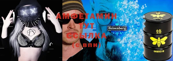 крисы Елабуга