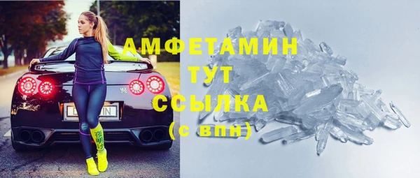 амф Ельня