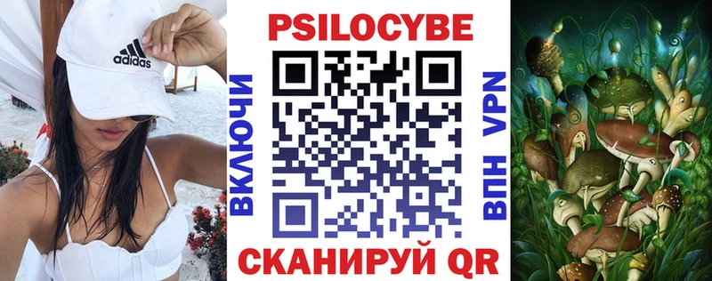 купить наркотики сайты  Приозерск  Псилоцибиновые грибы Cubensis 